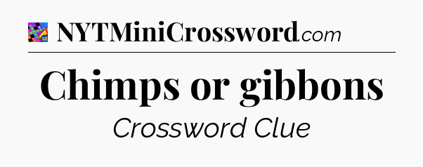 Chimps or gibbons Crossword Clue