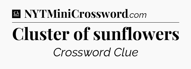 Cluster of sunflowers - LA Times Crossword