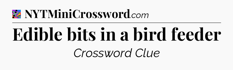 Edible bits in a bird feeder Crossword Clue