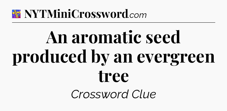 An aromatic seed produced by an evergreen tree Codycross