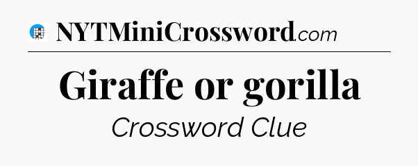 Giraffe or gorilla Crossword Clue