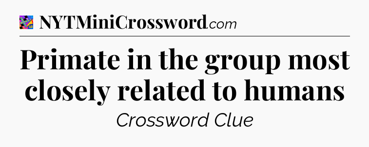 Primate in the group most closely related to humans Crossword Clue