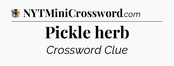 Pickle herb Crossword Clue