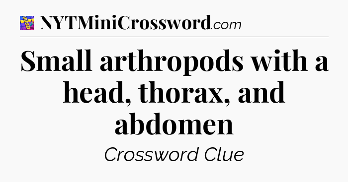 Small arthropods with a head, thorax, and abdomen Codycross