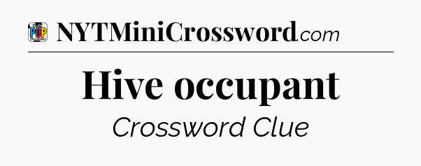 Hive occupant Crossword Clue