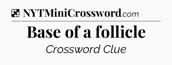 Solution: Base of a follicle - NYT Crossword