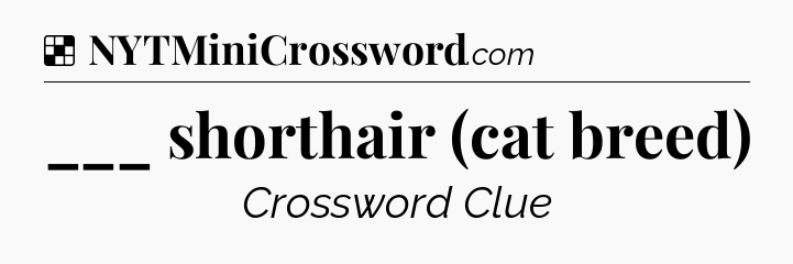 Solution: ___ shorthair (cat breed) - NYT Crossword