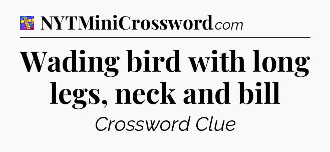 Wading bird with long legs, neck and bill Codycross