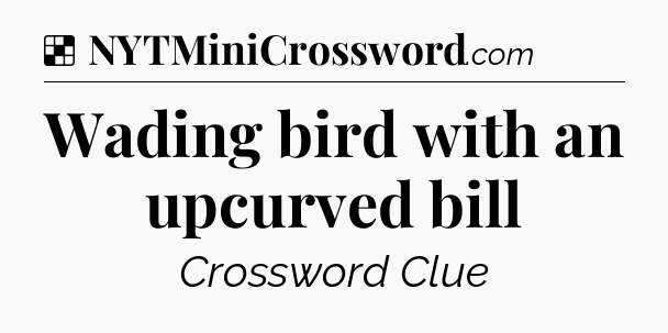 Solution: Wading bird with an upcurved bill - NYT Crossword
