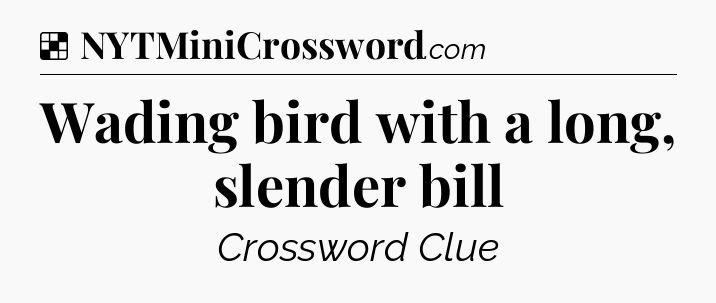Solution: Wading bird with a long, slender bill - NYT Crossword