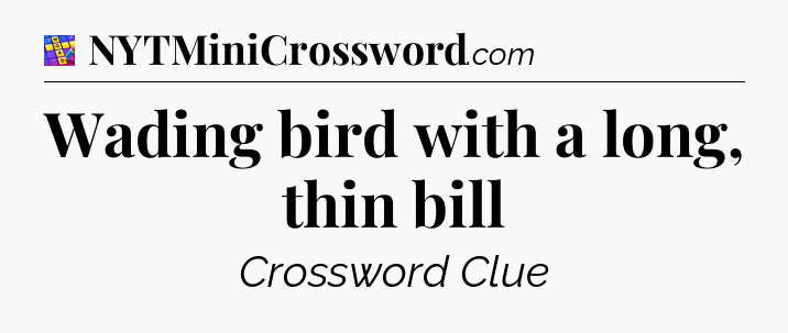 Wading bird with a long, thin bill Codycross