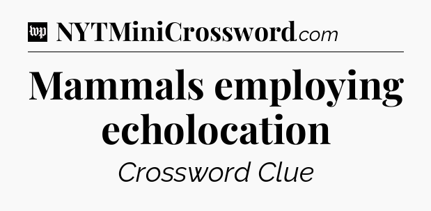 Mammals employing echolocation Crossword Clue