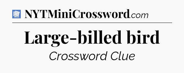 Large-billed bird Puzzle Page Crossword Clue