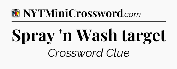 Spray 'n Wash target Crossword Clue