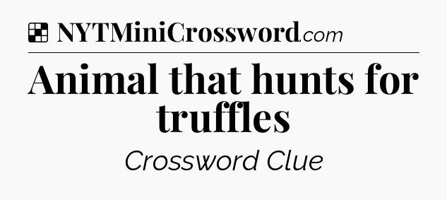 Solution: Animal that hunts for truffles - NYT Crossword