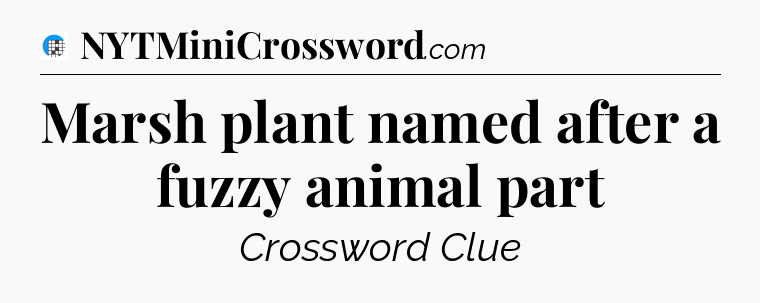 Marsh plant named after a fuzzy animal part Crossword Clue