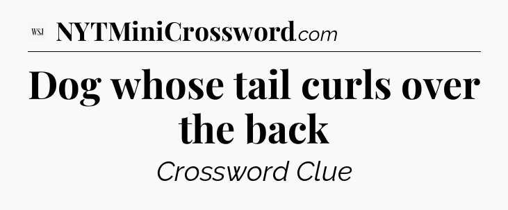 Dog whose tail curls over the back - WSJ Crossword