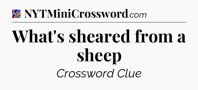 What's sheared from a sheep Crossword Clue