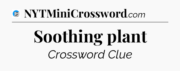 Soothing plant Crossword Clue