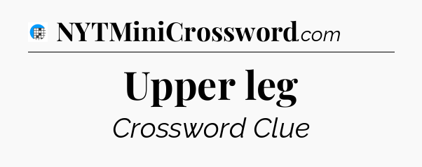 Upper leg Crossword Clue