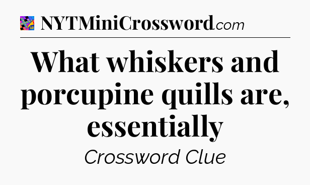 What whiskers and porcupine quills are, essentially Crossword Clue