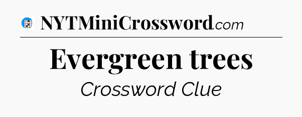 Evergreen trees Crossword Clue