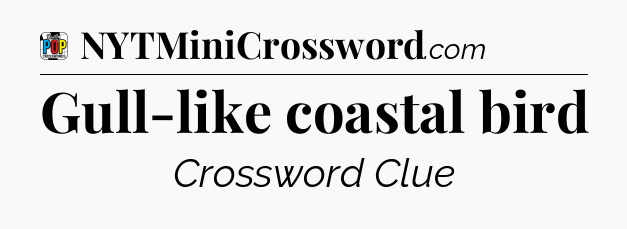 Gull-like coastal bird Crossword Clue