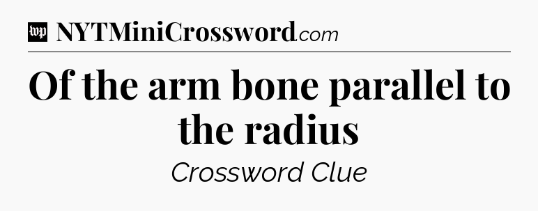 Of the arm bone parallel to the radius Crossword Clue