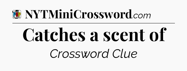 Catches a scent of Crossword Clue