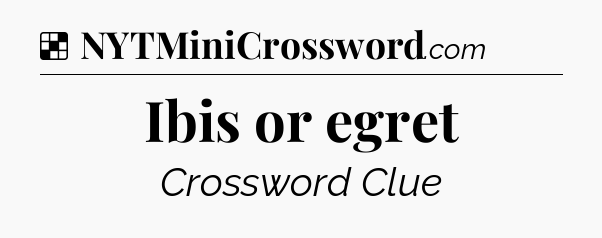 Solution: Ibis or egret - NYT Crossword