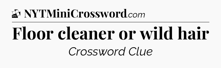 Floor cleaner or wild hair - Daily Themed Classic Crossword