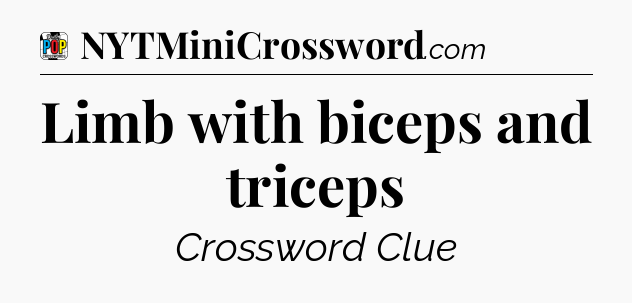 Limb with biceps and triceps Crossword Clue