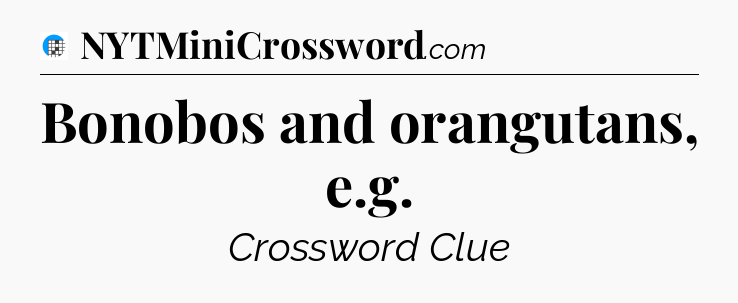 Bonobos and orangutans, e.g Crossword Clue