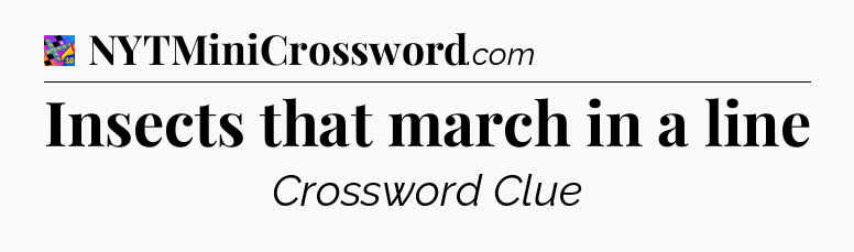 Insects that march in a line Crossword Clue