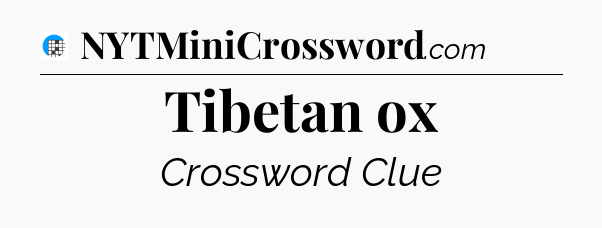Tibetan ox Crossword Clue