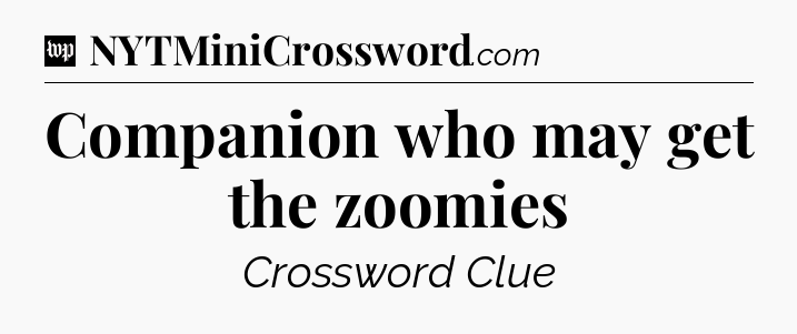 Companion who may get the zoomies Crossword Clue