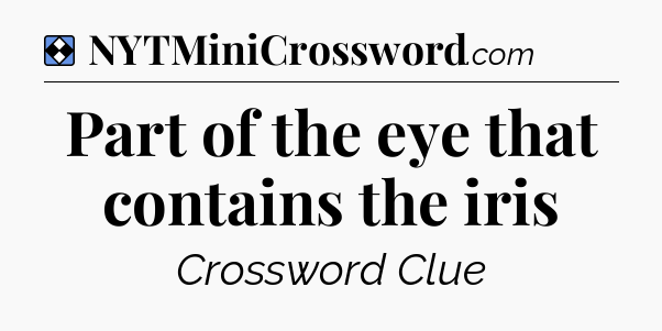 Solution: Part of the eye that contains the iris - NYT Mini Crossword