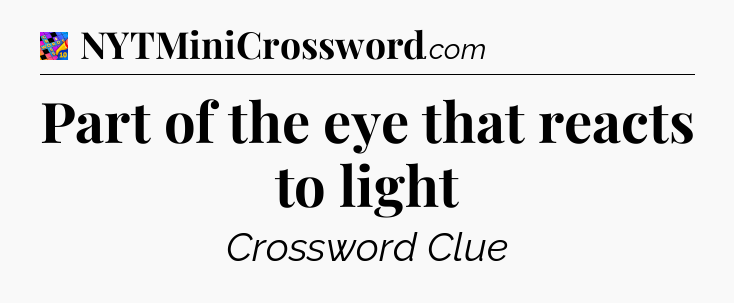 Part of the eye that reacts to light Crossword Clue