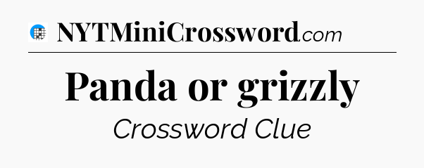 Panda or grizzly Crossword Clue