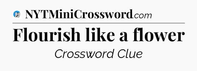 Flourish like a flower Crossword Clue