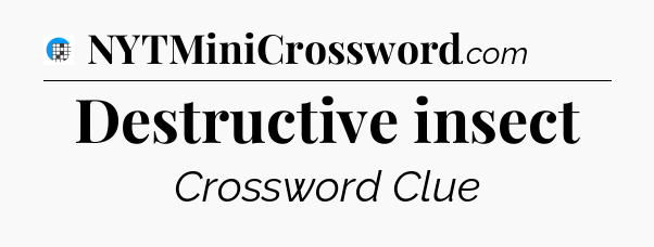 Destructive insect Crossword Clue