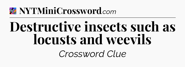 Destructive insects such as locusts and weevils Crossword Clue