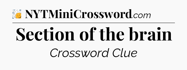 Section of the brain - 7 Little Words