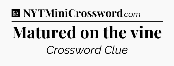 Matured on the vine - LA Times Crossword