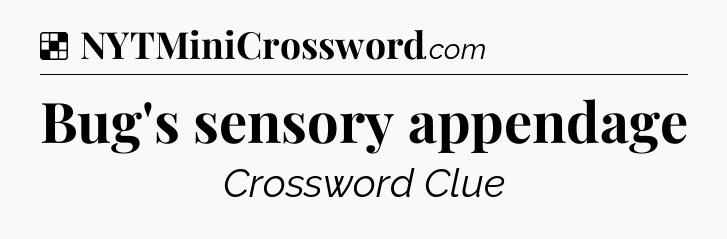 Solution: Bug's sensory appendage - NYT Crossword