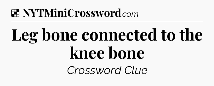 Solution: Leg bone connected to the knee bone - NYT Crossword