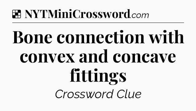 Bone connection with convex and concave fittings NYT Crossword