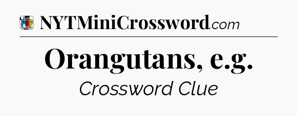 Orangutans, e.g Crossword Clue
