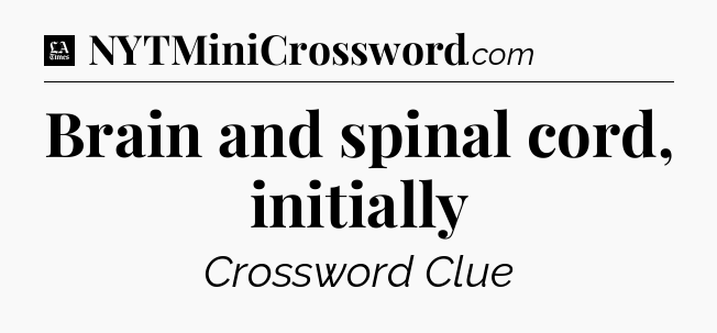 Brain and spinal cord, initially - LA Times Crossword