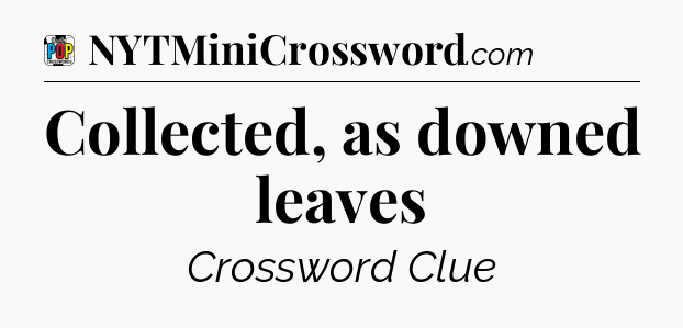 Collected, as downed leaves Crossword Clue